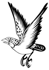 bird on the white background for coloring