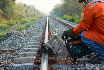Workers were cutting tracks for maintenance.