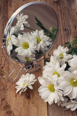 Красивые цветы ромашки и зеркало