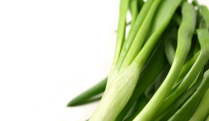 Bunch of green spring onion