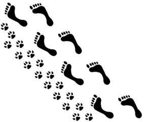 People and pet footsteps and foot with pain