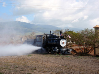Sugar Cane Steam Train lets off steam