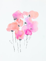 hand drawn watercolor illustration of bloomed poppys - 51465987