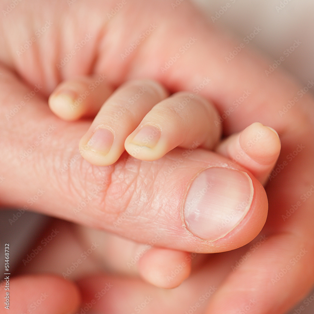 Wall mural baby and parent - hands, macro