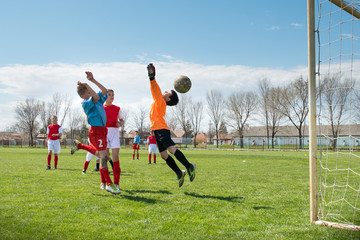 Obraz premium Soccer goalie