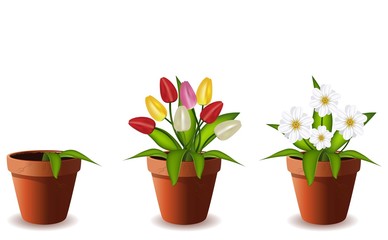 Plants in flowers pot.Vector illustration.