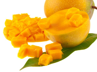 mangue