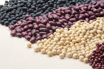 多種の豆