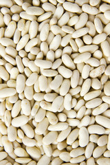 Cannellini beans