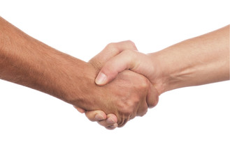 Closeup of people shaking hands