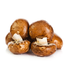 Fresh mushroom champignon isolated on white background .  fresh