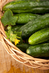 Fresh cucumbers in a basket on wooden boards