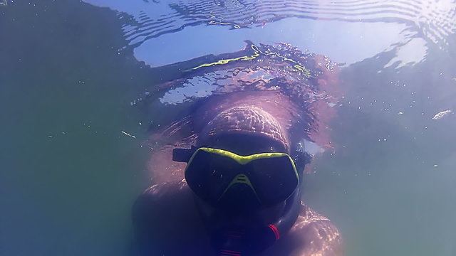 Snorkeling and seaweed