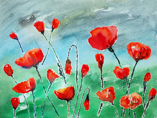 watercolor painting, poppies
