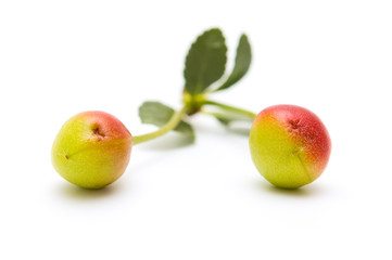 Unripe cherry on white background
