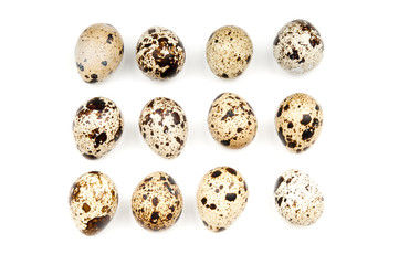 Quail eggs on white background