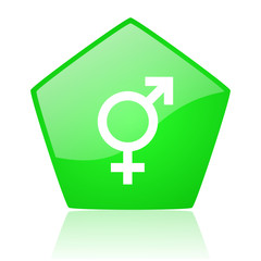 Fototapeta premium sex green pentagon web glossy icon