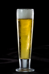 light beer
