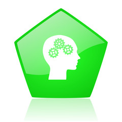 head green pentagon web glossy icon