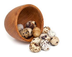 quail eggs isolated on white background
