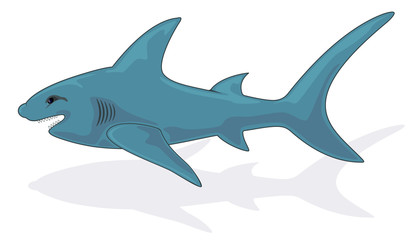 Shark
