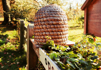 bee house in country place
