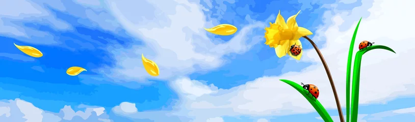Foto op Plexiglas lieveheersbeestjes op bloem onder blauwe lucht © baitoey