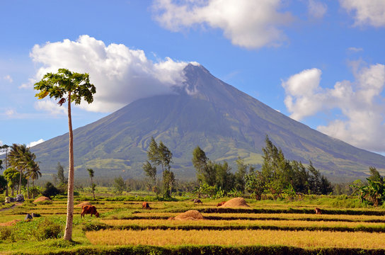 Mayon Volcano in the Philippines