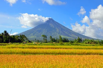 Zelfklevend Fotobehang Mayon Volcano in the Philippines © suronin