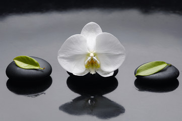 Fototapeta na wymiar Set of Three zen stones with orchid with two leaf
