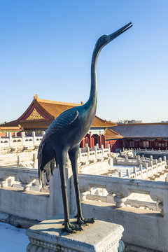 A bronze owned crane in Forbidden City