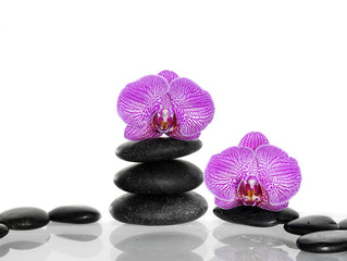 Spa still life with two orchid flower on pebbles
