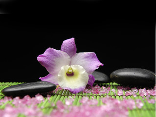 pink orchid with zen stone and many salt on green mat