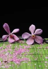 Two pink orchid with zen stone and many salt on green mat