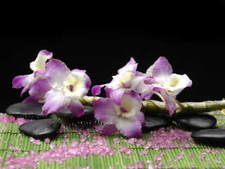 Branch orchid with zen stone and pile of salt on green mat