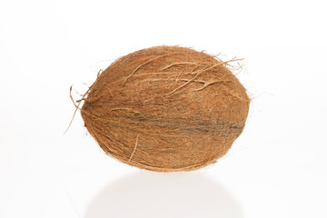 Coconut with it's shade