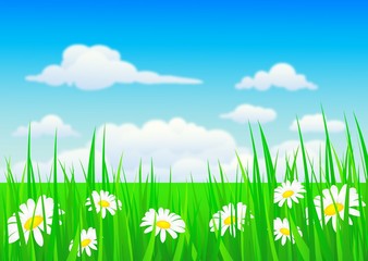 nature background with grass and flowers