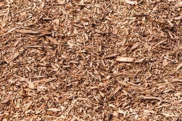 Closeup of a heap of woodchips from shredded trees - obrazy, fototapety, plakaty