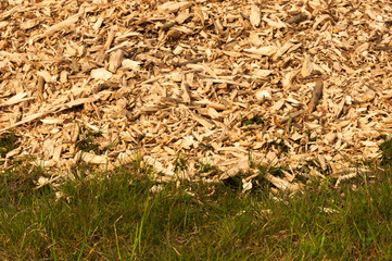 Detailed view at grass and a pile of dumped woodchips in the bac