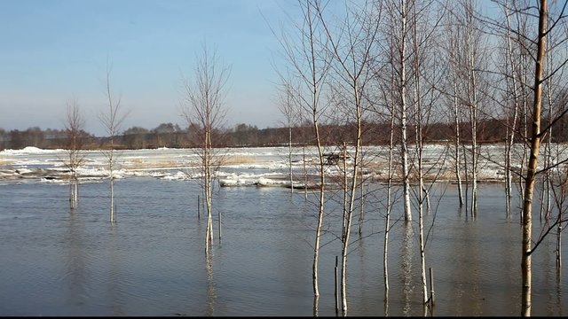 Spring ice floe on Lielupe river, Latvia.