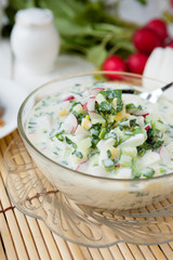 traditional Russian summer soup