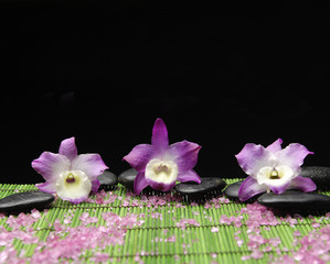 Obraz na płótnie Canvas Set of pink orchid with zen stone and many salt on green mat