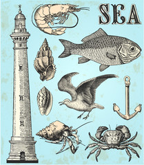 Fototapeta premium Sea