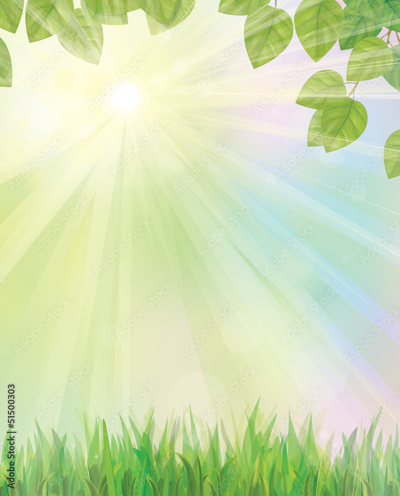 Wall mural vector of spring background with grass and leaves.