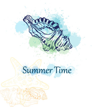 summer time background with seashell and colorful ink splashes