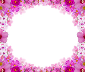 frame from many different pink flowers
