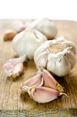 garlic