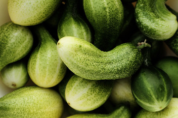 Green cucumbers, background