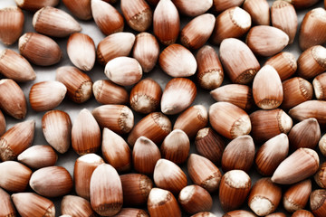 Hazelnut close up