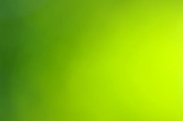 green bokeh